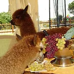 Podere Lacaioli منزل ريفي كاستيغليون ديل لاغو