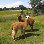 Podere Lacaioli منزل ريفي كاستيغليون ديل لاغو