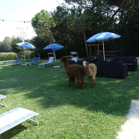 Casa de Campo Podere Lacaioli Castiglione del Lago